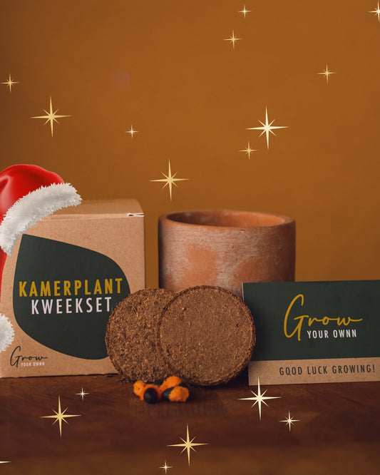 Kerstkado: kweekset voor kamerplant. Een uniek en verantwoord kerstpresentje