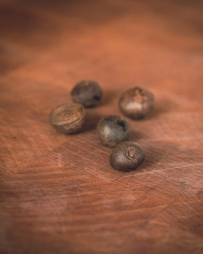 Camellia Sinensis (Theeplant)